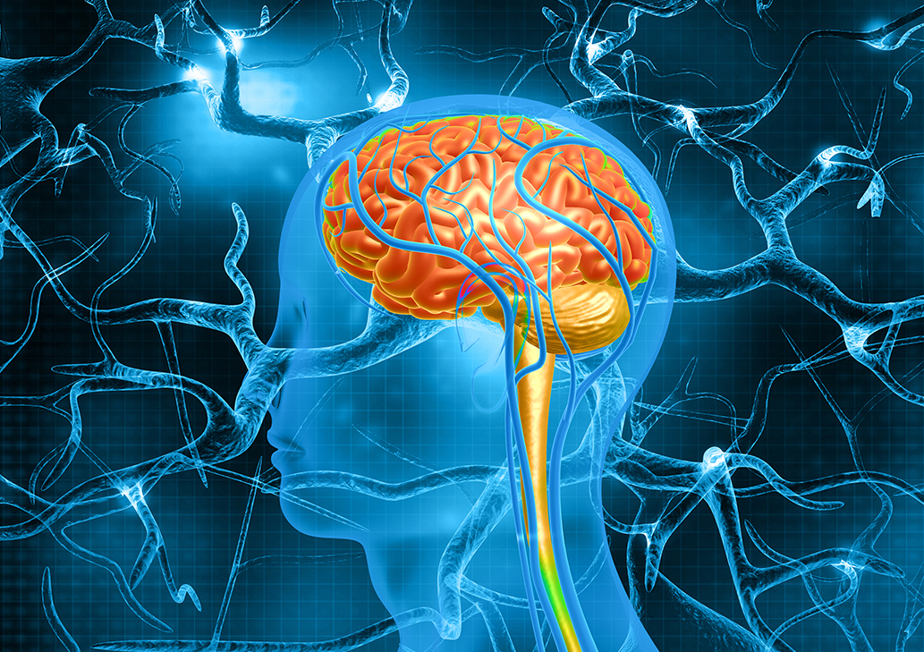 Anatomy of damaged nerves before Advanced Neuropathy Relief